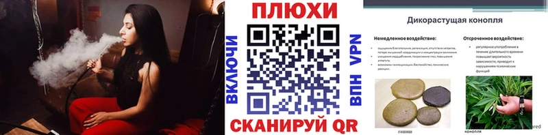 ссылка на мегу рабочий сайт  продажа наркотиков  Лесной  дарк нет формула  Гашиш Изолятор 