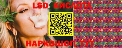 шишки Изобильный