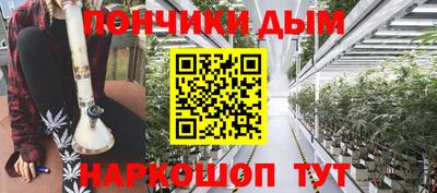 шишки Изобильный