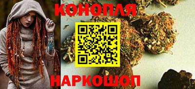 шишки Изобильный