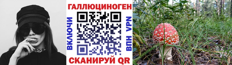 Галлюциногенные грибы мухоморы  Лесной 