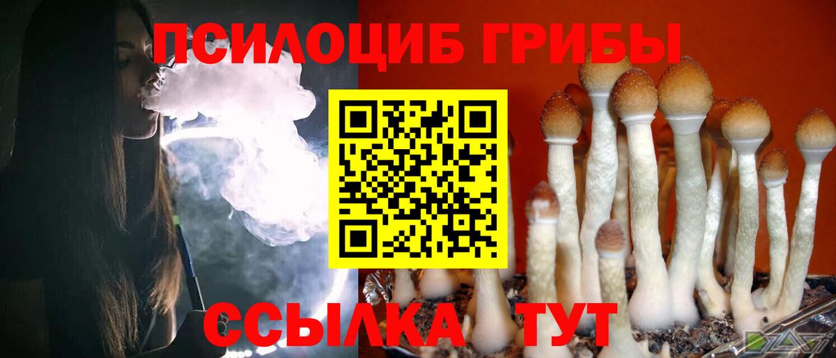 сколько стоит  Вход с VPN  Лесной  Галлюциногенные грибы Psilocybe 
